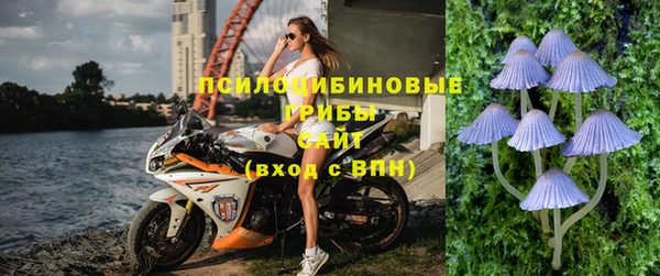 марки nbome Каменногорск