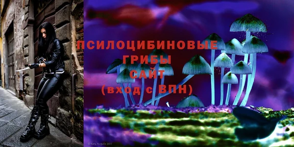 герыч Каменск-Шахтинский