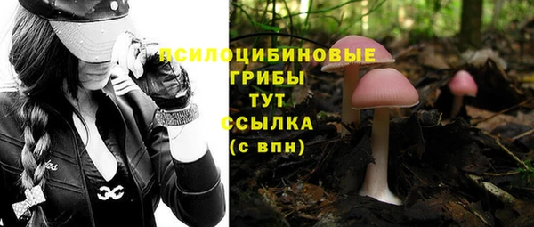 марки nbome Каменногорск